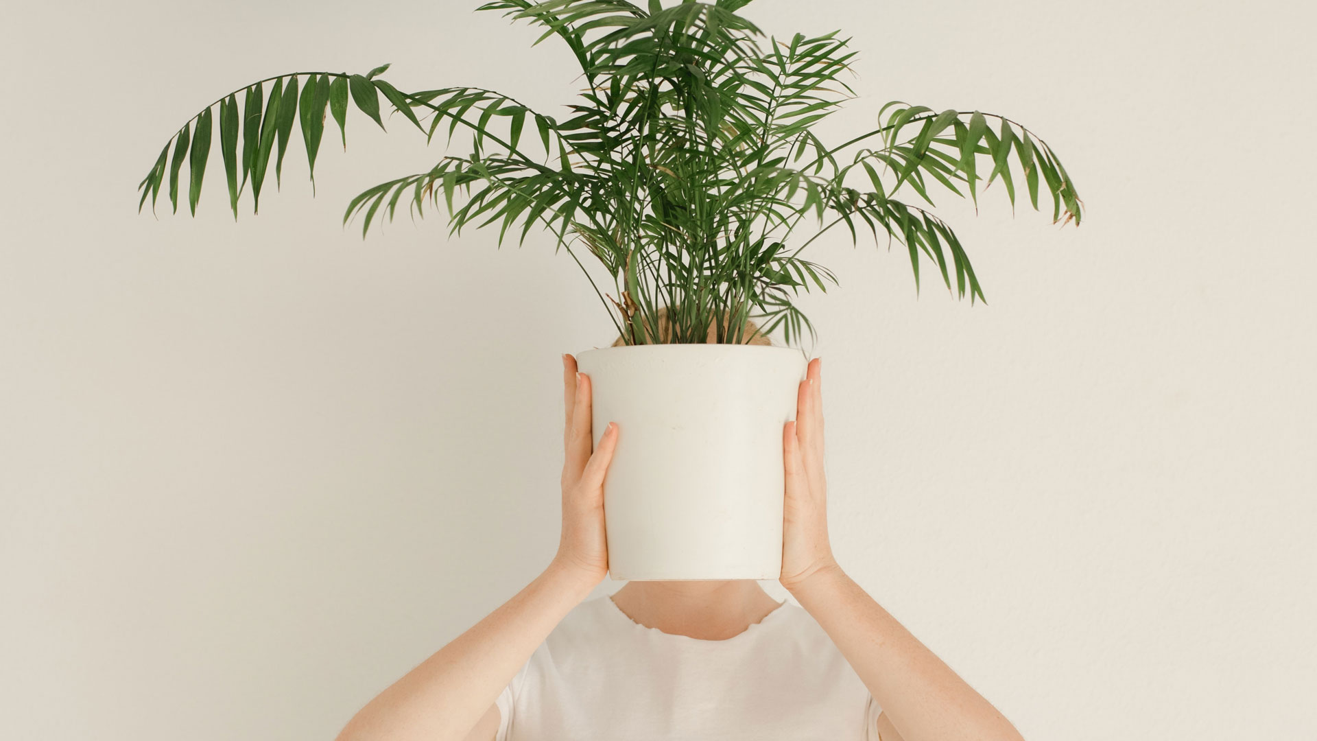 Magazine Soluzione-Group - Influencer marketing strategy