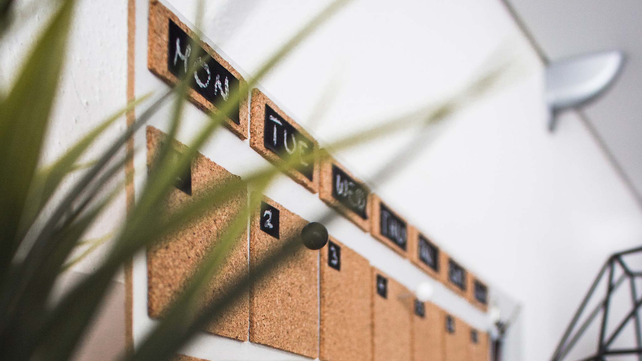 Instagram, gli step per un piano editoriale efficace