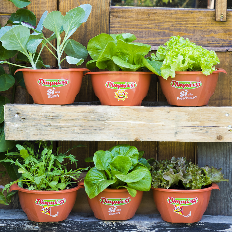 dimmidisi riutilizzo ciotole x