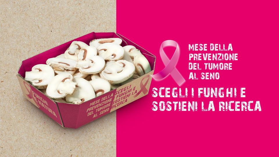 pack Consorzio Funghi realizzato da Soluzione Group